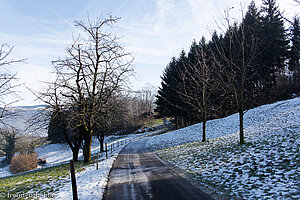 Winterwanderung von Küssnacht zur Hohlen Gasse