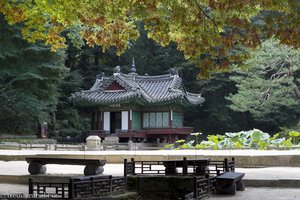 Ein Idyll - der Geheime Garten des Changdeokgung