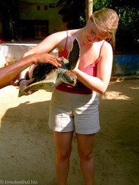 Annette mit sich leicht wehrender Schildkröte