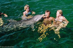 Anne und Lars beim Schwimmen mit Delfinen