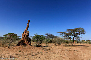 Termitenhügel auf dem Weg zum Omo River