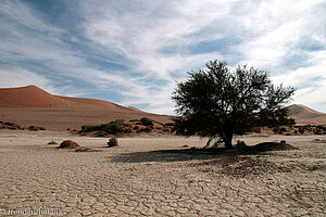 Blick über die Salzlehmpfanne bei Sossusvlei