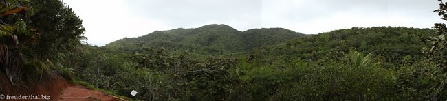 Ein Blick über den Nationalpark Vallée de Mai