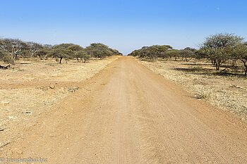 Straße im Game Reserve Shona Langa