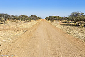 Straße im Game Reserve Shona Langa