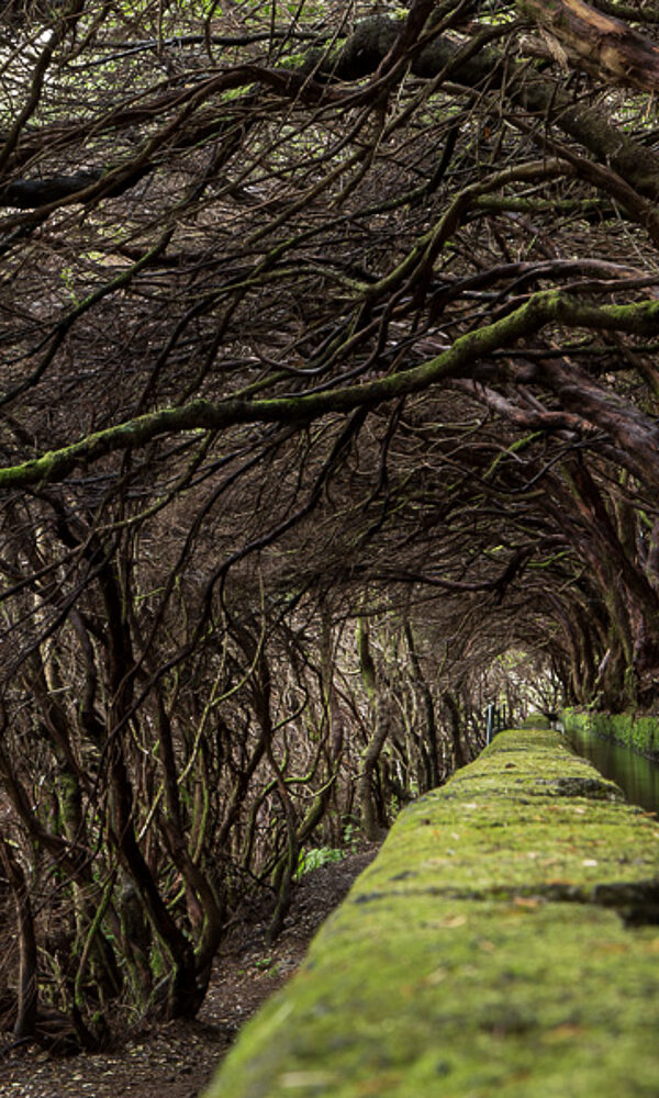 Levada da 25 Fontes