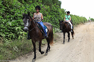 Reiten auf Sao Miguel