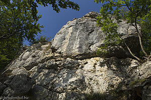 Blick auf die Kalkwand