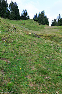 Wanderpfad bei Gäudig