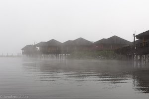 dicker Nebel beim Golden Island Cottage
