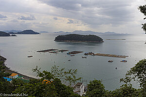 Muschelfarmen bei der Mireukdo Scenic Tour