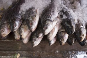 Fisch unter Eis auf dem Markt von Hpa An