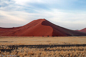 bis zu 400 Meter ragen die Dünen bei Sossusvlei in die Höhe