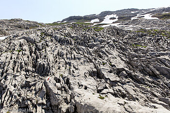 Die Silberen - ein Karsterlebnis