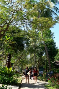 Ban Raya Resort - Weg zu den Bungalows und der Konkare Bay