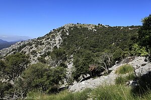 Berglandschaft nahe Valldemossa