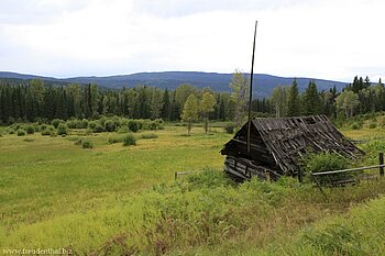 Blick über die Ray Farm