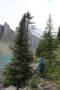 Wanderweg am Lake Agnes