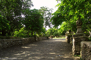 Von Bäumen beschattete Straße in Altos de Chavón