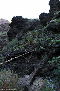 Wanderweg im Barranco de Masca