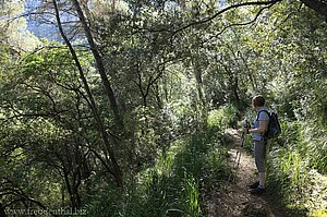 Annette auf dem Fischerweg zwischen Canonge und Esporles