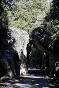 Felsen nahe des Eingangs vom Yosemite Nationalpark