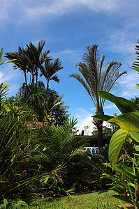 Im grünen Garten der Yabá Chiguí Lodge