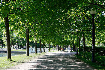 Allee im Schlosspark Kadriorg