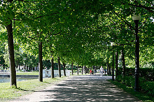 Allee im Schlosspark Kadriorg