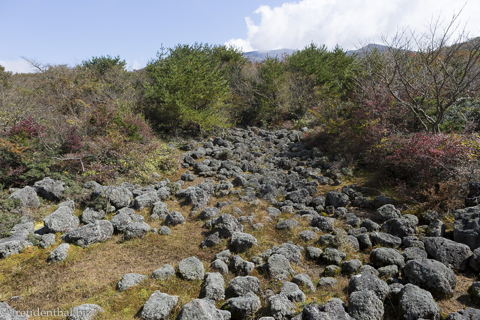 Geröllhalde im Hallasan Nationalpark nahe dem 1100 Altitude Wetland auf Jeju
