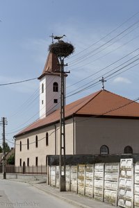 Storchennest auf Strommast in Grossau - Cristian