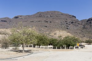 im Quellgebiet Ayn Humran im Oman