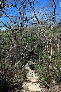Früher ging hier ein Baumstamm über die Quebrada Pailas.