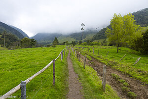 Wanderweg im Valle del Cocora von Kolumbien.