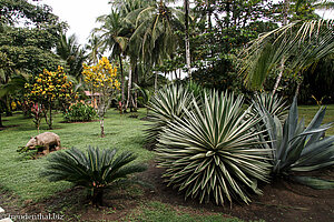 Garten der Turtle Beach Lodge