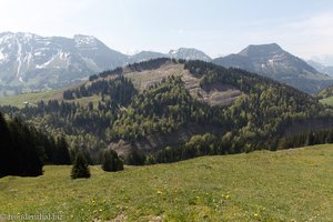 Aussicht von Spicher-West übers Horn zum Alpsteingebirge