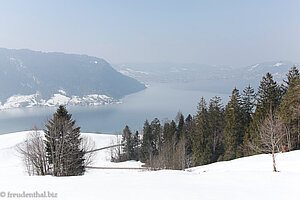 Blick auf den Ägerisee