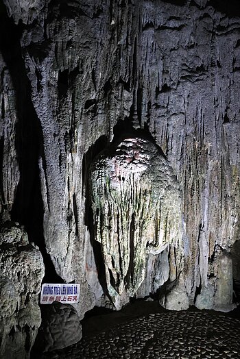 Tropfsteinformationen in der 1. Kammer der Überraschungshöhle (Hang Sửng Sốt)