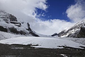 Athabasca-Gletscher