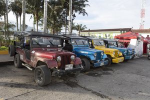 Am Dorfplatz von Salento versammeln sich die Willys-Jeeps.