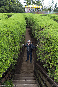 Lars auf Irrwegen im Kimnyoung Maze Park