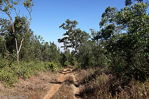 Wanderweg zum Aussichtspunkt