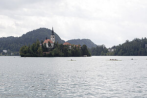 Unser erster Blick auf die Blejski Otok am Bleder See.