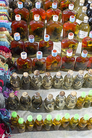 Schlangen und Skorpione in Schnaps - Luang Prabang