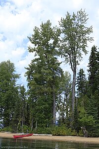 Strand am Clearwater Lake