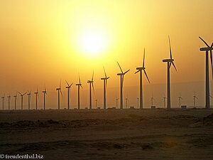 Windradpark auf dem Weg von Hurghada nach Kairo