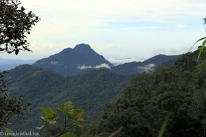 Aussichtspunkt auf dem Kiau View Trail