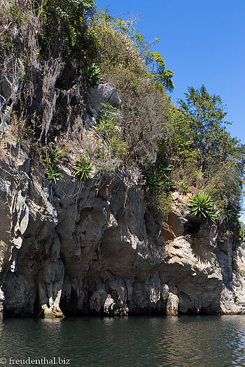 Felsen aus Muschelkalk beim Embalse Hanabanilla auf Kuba