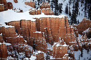 Bryce Canyon - Aussicht vom Sunset Point