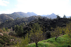 Troodos-Gebirge Lazanias